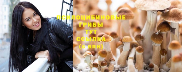 мяу мяу мука Абинск