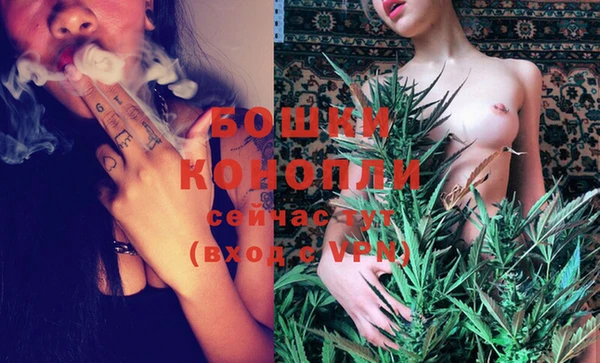 ешки Каменногорск